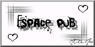 ESPACE PUUB